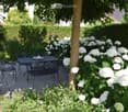 Garden with a patio area featuring a black metal table and chairs, surrounded by lush greenery and blooming white hydrangeas.