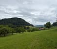 A lush green meadow with scattered trees, a small wooden house, and a forested hill in the background under a cloudy sky.