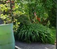 A lush garden area with a covered seating space, featuring a green table with a polka dot tablecloth, green chairs, and a wicker chair, surrounded by various plants and trees.