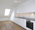 Modern kitchen with white cabinets, wooden flooring, and a skylight window above the sink.