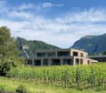 Modern two-story house with large windows and a balcony, surrounded by vineyards and mountains.