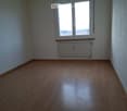 Empty room with wooden floors, white walls, large window, and radiator