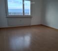 empty room, wooden floor, large window with view, white wall, white radiator