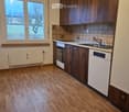 kitchen area with sink, stove, dishwasher, cabinets, radiator