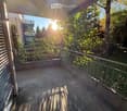 Balcony with metal railing, concrete floor, and lush greenery in the background.