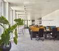 Modern office space with desks, chairs, laptops, and large windows, featuring a large leafy plant in a pot.