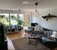 Modern living room with a dark grey sectional sofa, coffee table, armchair, ottoman, and a cat resting on the sofa. The room features large windows with potted plants, a hanging geometric light fixture, and a decorative shark wall art.
