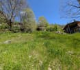 The image shows a scenic outdoor landscape with a grassy field, trees, and a wooden cabin or structure in the background. The field is covered in lush green grass and yellow wildflowers, creating a picturesque spring or summer scene. The trees are in full