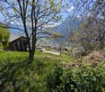 The image shows a scenic rural landscape with a wooden cabin or house surrounded by lush greenery, including a tree with yellow flowers in bloom. The landscape features a grassy area, other trees, and a view of the distant mountains in the background.