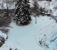 A plot of land with snow cover, several houses in the background, a fir tree.