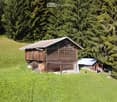 wooden barn with a rusty roof, surrounded by green grass and tall trees, two smaller houses on the right side