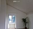 room with white walls, hardwood floor, window, radiator, potted plant, slanted ceiling