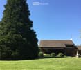 House. Single-story house with a tiled roof, surrounded by a well-maintained lawn and a tall evergreen tree.