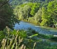 Lush green forest with a flowing river, surrounded by rolling hills and mountains in the background.