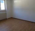 Empty room with wooden flooring, white walls, a window with a radiator below, and a single ceiling light fixture.