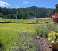 A serene garden area with lavender plants, a potted plant, and a scenic view of a forested mountain range under a clear blue sky.