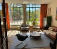 Living Room. Bright living room with large windows, leather sofa, coffee table, armchair, and plants.
