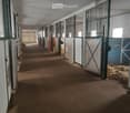A long, narrow corridor with multiple stable doors on both sides, featuring a dirt floor and white walls.
