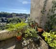 Balcony with multiple potted plants, overlooking a town with houses and greenery.