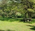 A well-maintained garden with a picnic table and benches, surrounded by tall trees and lush greenery.