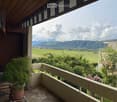 Balcony with wooden decking, potted plant, chair, and scenic countryside view.