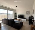Modern living room with large sliding glass doors leading to a balcony, grey sectional sofa, coffee table, TV, side table with vase, and decorative cactus plant.