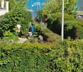 Lush garden with dense green bushes and trees, overlooking a scenic body of water and distant hills.