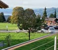 View from a balcony or terrace showing a grassy area with trees, parked cars, and a scenic mountain and lake view in the background.