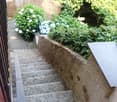 Stone steps leading up to a garden area with lush greenery and flowering plants, including white and blue blooms, surrounded by a wooden fence and a metal railing.
