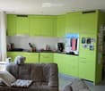 A modern living room with a grey sectional sofa, a wooden coffee table, a grey armchair with a cushion, and a small elephant toy on the sofa. The room is adjacent to a kitchen area with bright green cabinets, a refrigerator, and various kitchen appliances