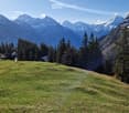 A lush green meadow surrounded by dense forest, with snow-capped mountains in the background under a clear blue sky.