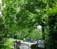 A garden area with a large tree providing shade, featuring a white outdoor sofa with cushions and a small table.