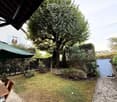Garden with a wooden table, chairs, umbrella, and a large tree, surrounded by greenery and a stone pathway leading to a gate.