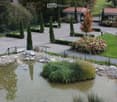 Well-maintained garden area with a small pond, surrounded by rocks, plants, and neatly trimmed trees. The area includes a paved walkway, a small bridge, and a variety of flowering shrubs and trees.