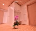 A small, modern hallway with wooden flooring, white walls, and a built-in wardrobe. A potted orchid is placed on the floor near the wardrobe.