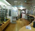 A well-lit optical shop with wooden flooring, display racks filled with sunglasses, a counter with brochures, and seating areas for customers.