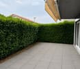 Grey tiled balcony with a neatly trimmed green hedge border and a yellow retractable awning attached to the building.