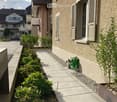 A narrow garden area with a paved pathway, green plants, and a hose coiled against the building wall.