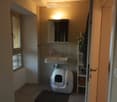 Modern bathroom with a white sink, mirror, cat litter box, small shelf with a plant and towel, and a window with frosted glass panels.