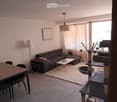 Modern living room with a grey sectional sofa, coffee table, dining table with chairs, cat tree, and a cat bowl. The room features large windows with curtains, a floor lamp, and a picture frame on the wall.