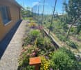 Garden area with a gravel pathway, colorful flowers, and a wooden bird feeder, enclosed by a chain-link fence.