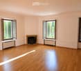 Empty room with light pink walls, wooden flooring, and a fireplace. Three windows with open shutters allow natural light to enter.