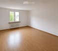 Empty room with light wooden flooring, white walls, a window with white frames, and a radiator below the window.
