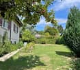 Well-maintained garden with a grassy lawn, fruit tree, shrubs, and a small white house in the background.