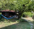 A serene garden area with a hammock, outdoor furniture, and a small wooden house with a red roof. The space is surrounded by lush greenery and trees, creating a peaceful outdoor setting.