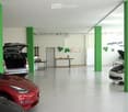 Modern showroom with several cars displayed, including a red Tesla and a white Volkswagen. Green pillars, white walls, and large windows provide natural light. Small tables and shelves are present, along with decorative green spherical objects on the wall
