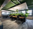Modern office space with desks, chairs, computers, large windows, and indoor plants.