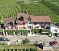 A large, multi-story house with red-tiled roofs, white and pink facades, and red shutters. The house is surrounded by vineyards and has a parking area with several cars.