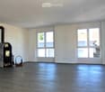 Empty room with light-colored walls, dark wooden flooring, large windows, and a wood-burning stove with a small basket nearby.