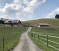 Rural farmstead with a large barn, smaller outbuilding, fenced pasture, and solar panels on the roof.